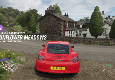 Forza Horizon 4 (PC)