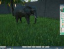 planetzooscreenshot002